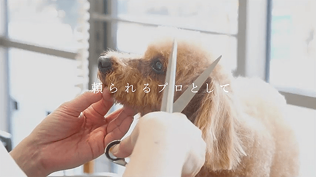 動物病院様｜企業PR動画